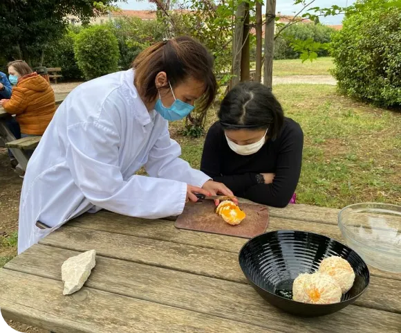 Une aide soignant montre comment couper une orange à une femme
